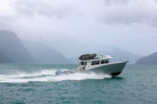 Briceportolano 2025 Fawn Bluff 6796 WEB