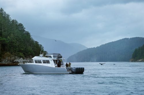 Briceportolano 2025 Fawn Bluff 7440 WEB