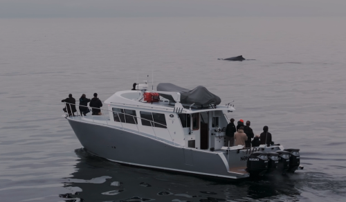 Screen-Shot-2026-02-20-at-10.52.41-AM-2